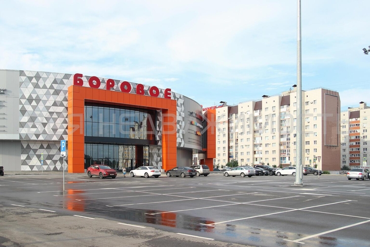 ЖД Воронеж, Федора Тютчева, 95а - изображение 1