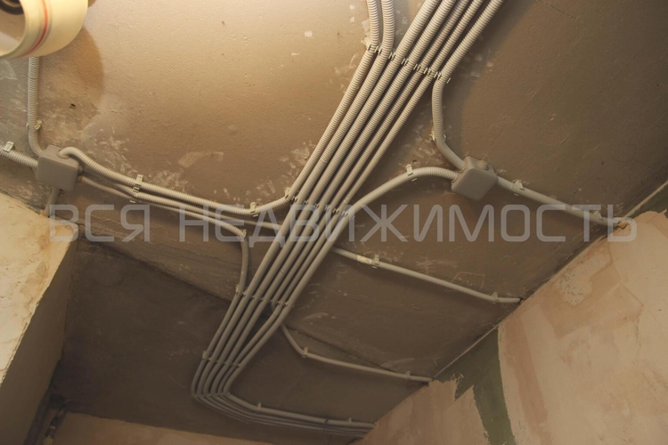 2к, 2/5 К, Воронеж, Советский, Молодогвардейцев ул, дом 8, 44 кв.м - изображение 16
