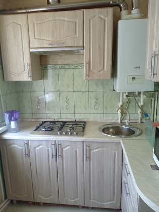 2к, 2/2 К, ВО, Нижнедевицкий р-н, Нижнедевицк с, Юбилейная ул, дом 14, 40.9 кв.м - изображение