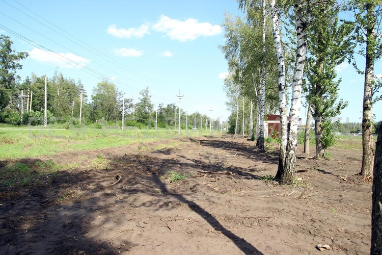 Участок, ВО, м.р-н Рамонский, с.п. Новоживотинновское, Новоживотинное тер., участок 5в, 74,1 соток - изображение 5