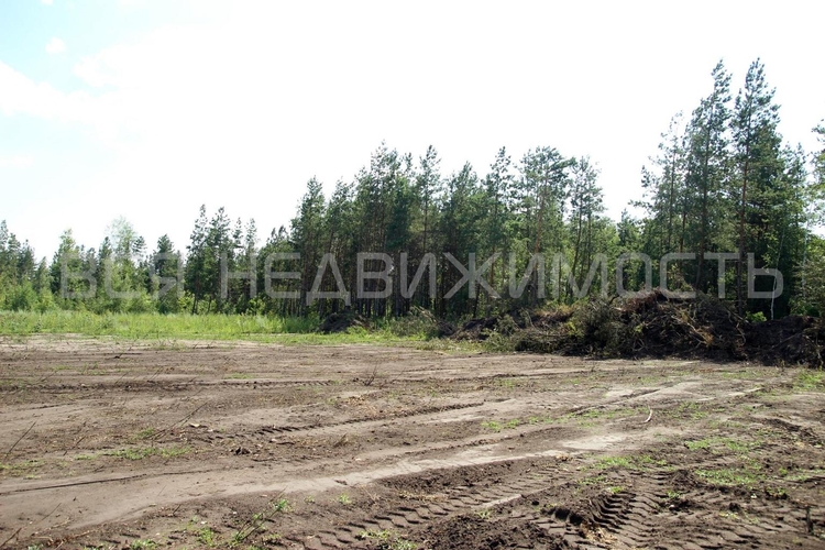 Участок, ВО, м.р-н Рамонский, с.п. Новоживотинновское, Новоживотинное тер., участок 5в, 74,1 соток - изображение 6
