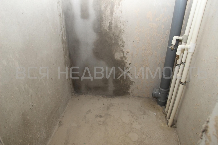 2-комнатная квартира, 102.1кв.м - изображение 11