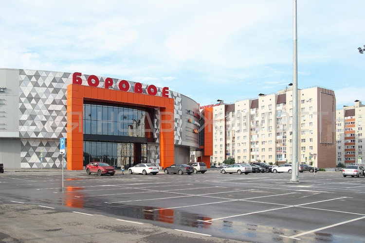 ЖК Боровое - изображение 1